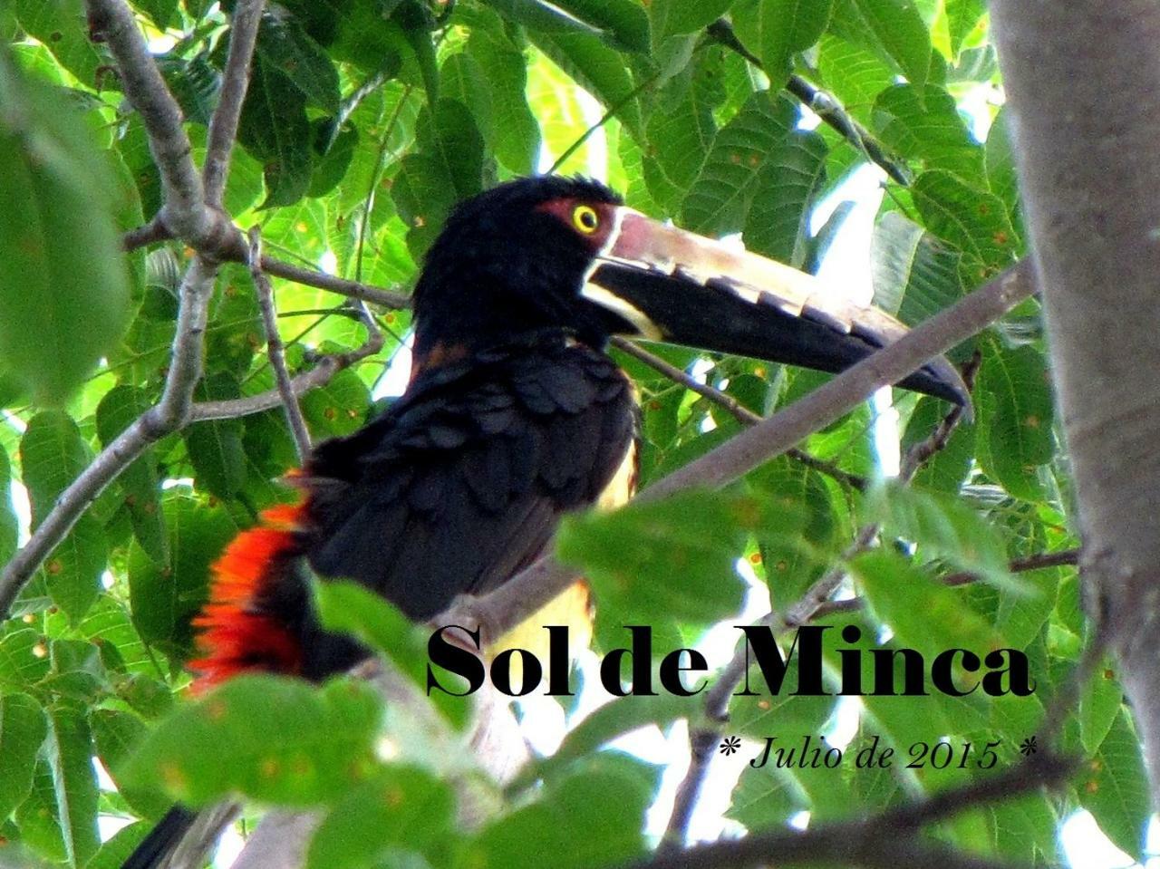 Sol De Minca Eco Lodge Dış mekan fotoğraf