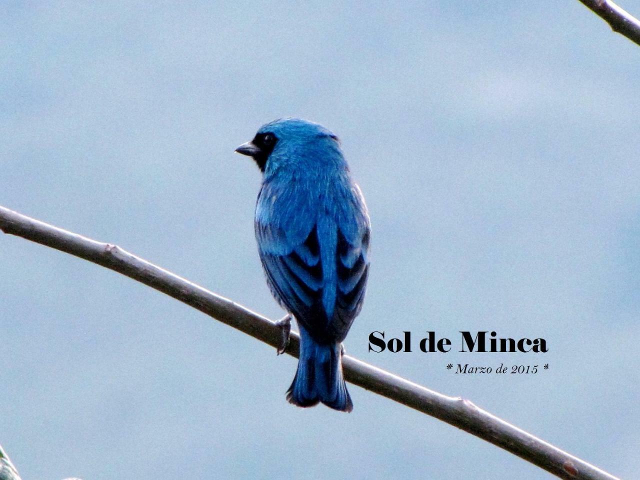 Sol De Minca Eco Lodge Dış mekan fotoğraf