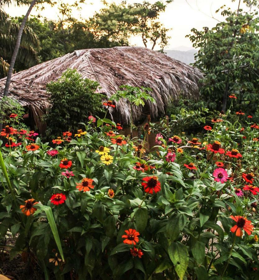 Sol De Minca Eco Lodge Dış mekan fotoğraf